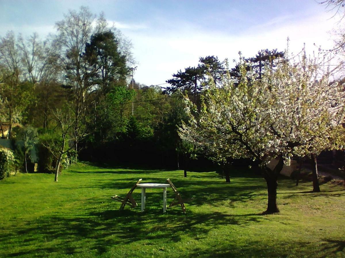 Dolce Casa Bed & Breakfast Sainte Foy les Lyon Bagian luar foto